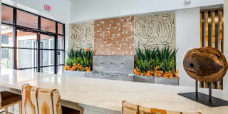 Avana Coronado Gallery 24