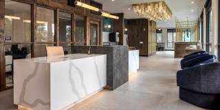 Alta Sloans Lake Gallery 13