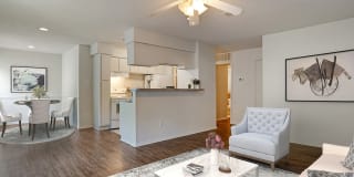 Pear Orchard Gallery 12