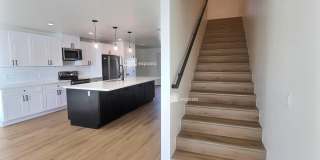2502 E Paradise Lane Gallery 17