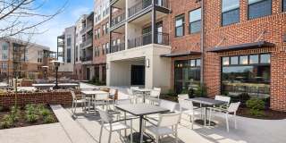 The Premier Gallery 25