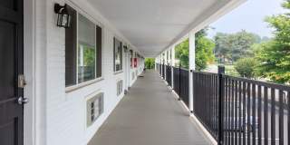 The Meadows Gallery 4