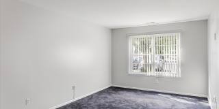 419 ATLANTA Court Gallery 18