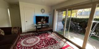 Green Street Apartments Gallery 2