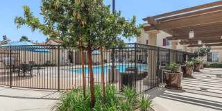 Senior Housing - Villa Serena Senior Apartments Gallery 16