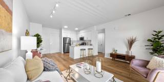 The Elinor Gallery 35