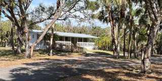 50 Palm Drive Gallery 1