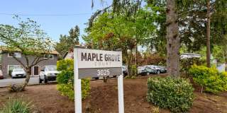 Maple Grove Court Gallery 35