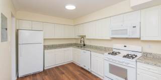 Chestnut Hill North Apartments Gallery 3