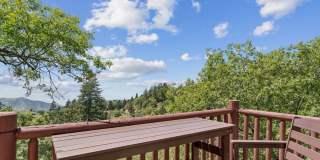 4 Winding Way Gallery 31