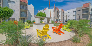 THE MODERN CACTUS Gallery 14