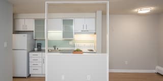 805 Dahlia Gallery 21