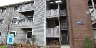 5015 RAVENS CREST Drive Gallery 1