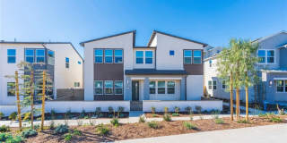 412 Flycatcher 412 Flycatcher Gallery 1
