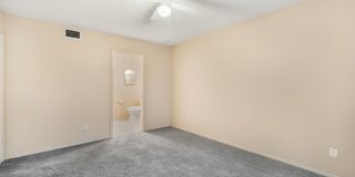 Cozy 2 Bed 1.5 Bathroom in Temple Terrace Gallery 12