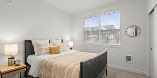 Modera Lacey Gallery 26