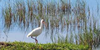 4829 SUMMIT VIEW WAY Gallery 49