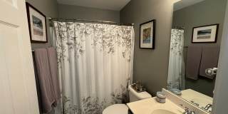 1411 Hamlin Park Circle Gallery 17