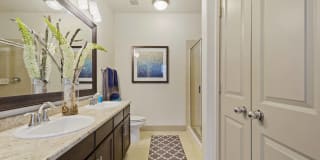 Alvista Round Rock Gallery 43