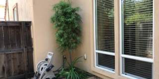 Charming Luxury Home near Downtown & Shopping Gallery 27
