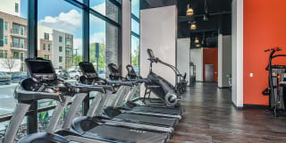 The Yard at Ivanhoe Gallery 24