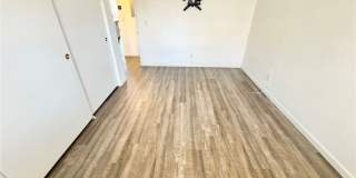 1008 Falconhead Lane Gallery 14
