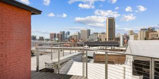 The Collection at American Tobacco Center Gallery 1