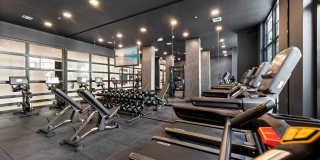 SoLe Mia Rentals Gallery 22