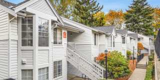 Westview Village Gallery 5