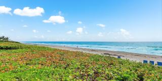 2909 S Ocean Boulevard Gallery 24