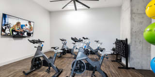 Korina and Alder at The Grove Korina and Alder at The Grove Gallery 51