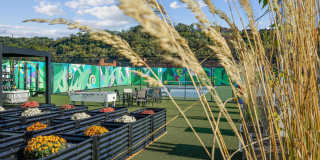 The District Gallery 4