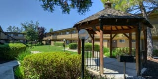 Olympus Park Apartment Homes Gallery 16