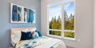 SKY Sammamish Gallery 5