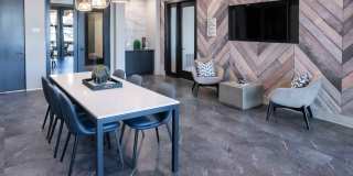 Paloma Village Gallery 17