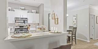 Retreat at John's Creek Gallery 16