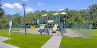 Somerset at Spring Creek Gallery 21