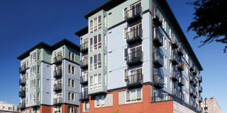 The Heights on Capitol Hill The Heights on Capitol Hill Gallery 1