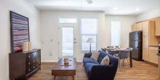 Beecher Terrace III Gallery 7