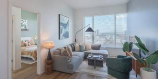 The Carson Gallery 7