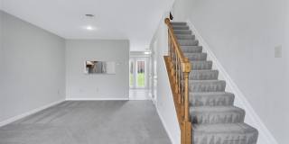 Linden At Elmtree Gallery 5