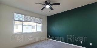 3805 Amelia Rose Way Gallery 9