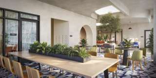 Treehouse Gallery 11