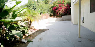 5220 Joan Ct Gallery 19