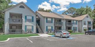 The Julep Gallery 29