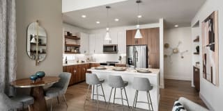 Roadrunner on McDowell Gallery 14