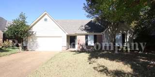 9532 Chi Chi Cv Gallery 1