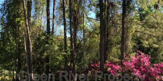 6106 Pine Avenue Gallery 25