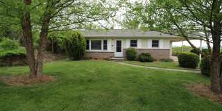 West AVL  - Mountain Views, Garden Space, Beautiful Yard! Gallery 1