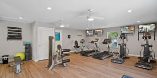 Hawthorne at the Hall Gallery 6